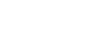 NOMADS.insure Signet White for dark backgrounds