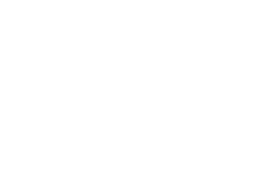 Logo SafetyWing white